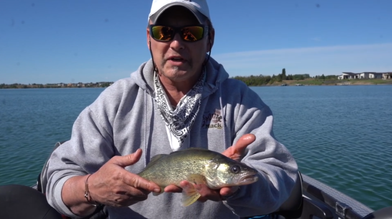 Moses Lake Spring Walleye | Episode 173 | Northwest Fishing TV ...