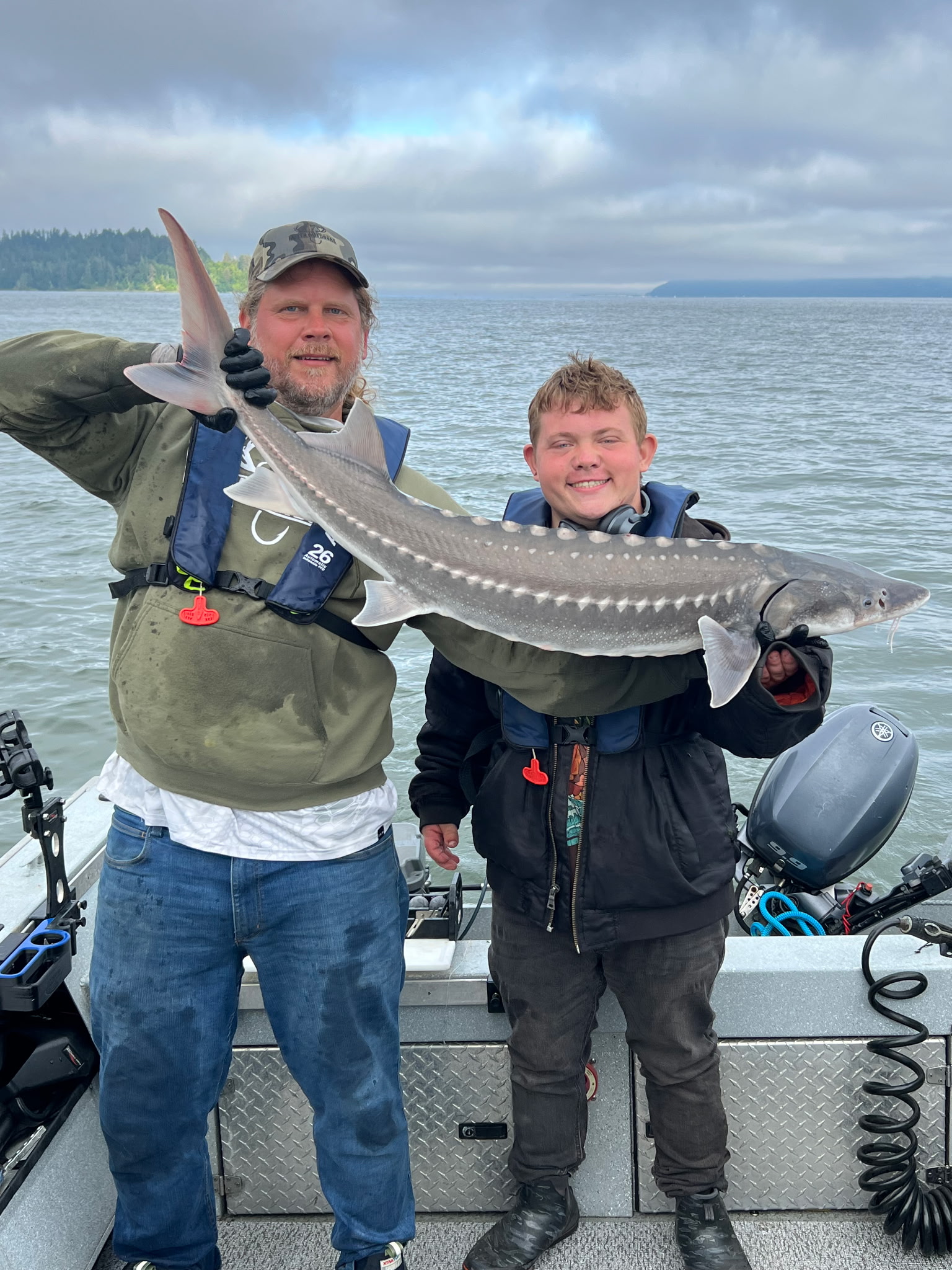 Estuary Sturgeon