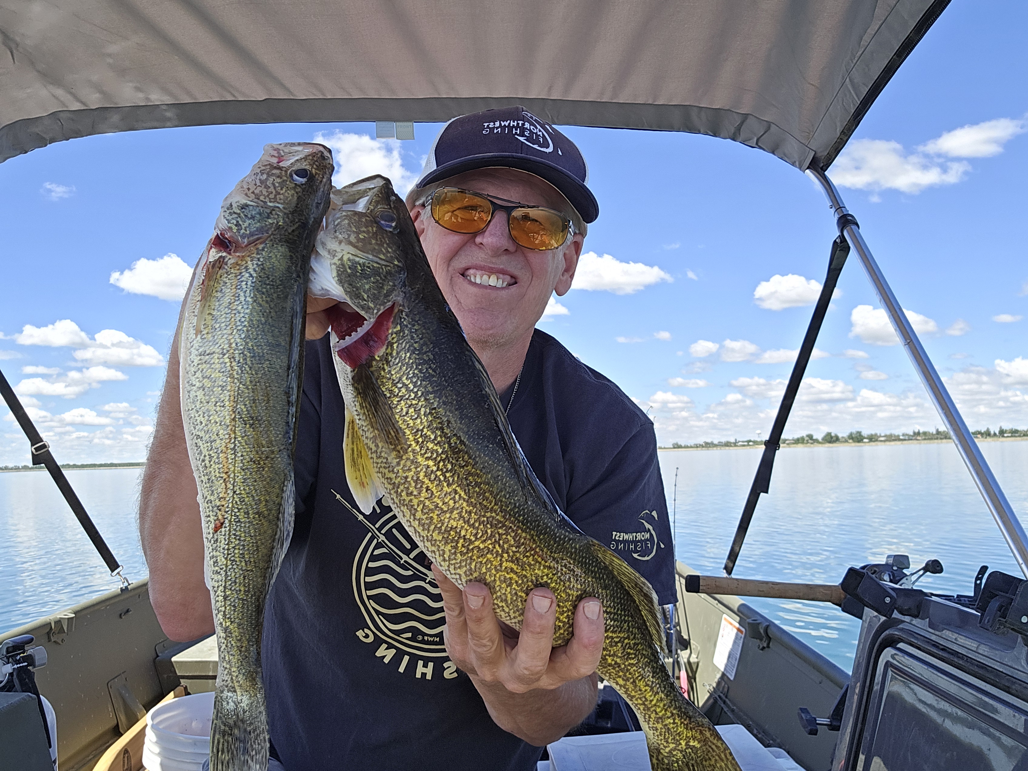 Walleye Here and There