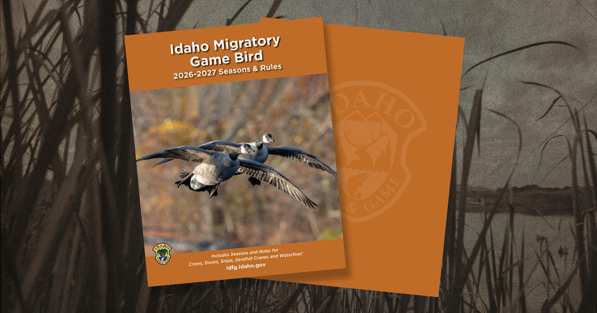 2026-27 Idaho Migratory Game Bird seasons and rules booklets are now available online