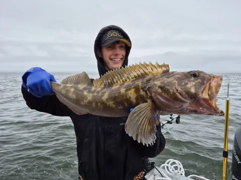 Angler holding lingcod