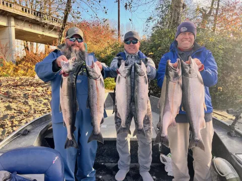 Chris Koslin, the author and Zach Collins with a limit of Skykomish River coho with guide Cary Hofmann