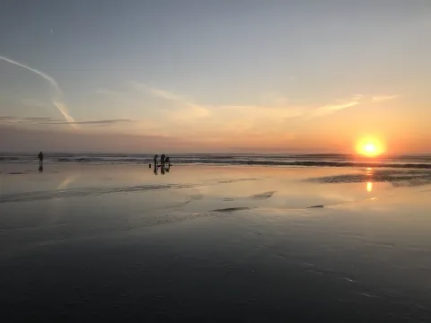 People clamming on beach at sunset