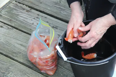 Bag of shrimp.