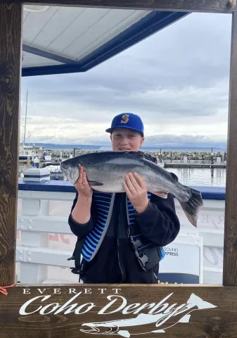 coho salmon.