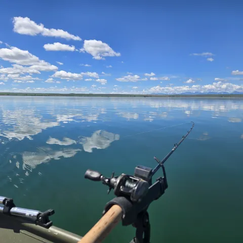 Reel off of boat on the lake