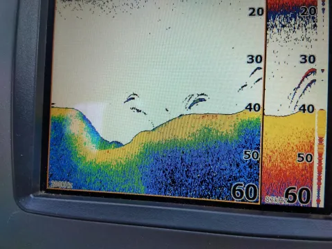 Fishing electronics