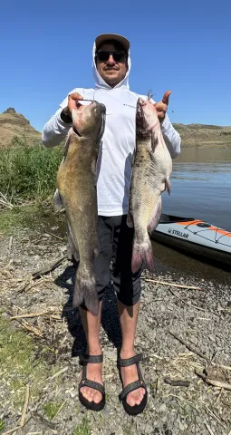 Man with catfish