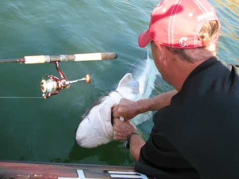 Man holding sturgeon.