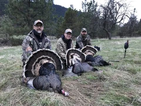 131697_OpenerTripleTom2018BuckCanyon