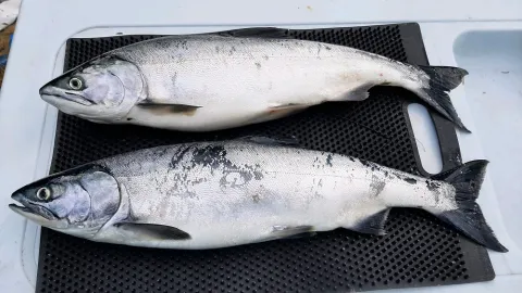 20210822_171526 (1) feature photo