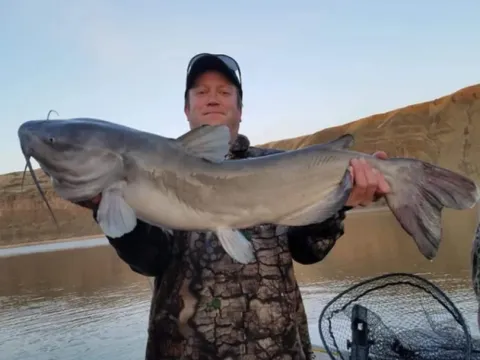 CatfishinginWashington_