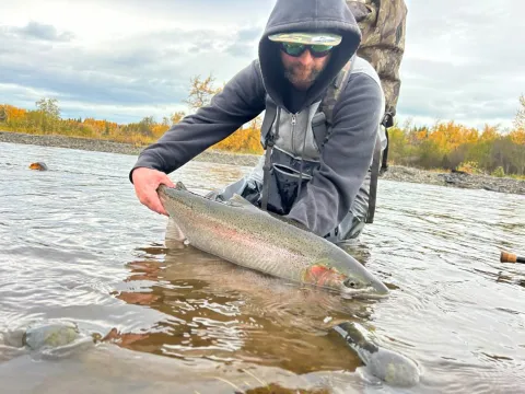 D0A4B012-EFF6-4D8E-BA9A-533525E03731