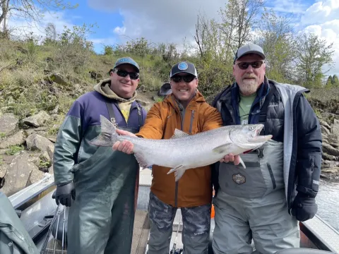 David, the Author and Nick Amato with a Beautiful Willamette River Springer