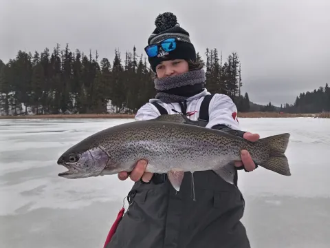 {"capture_mode":"AutoModule","faces":[]}