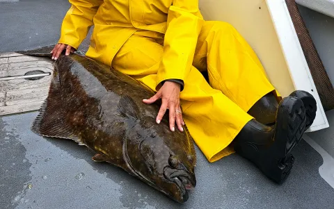 Josie&TheTomcats_Image2