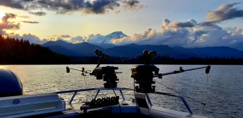 Late Season Baker Lake Sockeye - 072023 004 feature