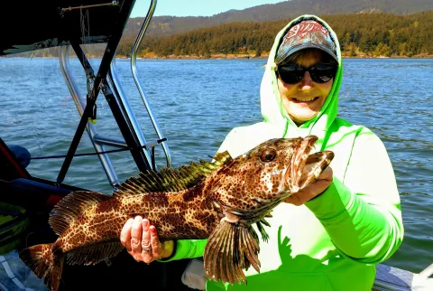 Lingcod Lookahead 062023 002 (1)