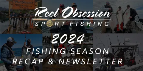 ReelObsessionEmail_Adjusted