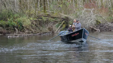 River Coho By Jason Brooks (10)-min