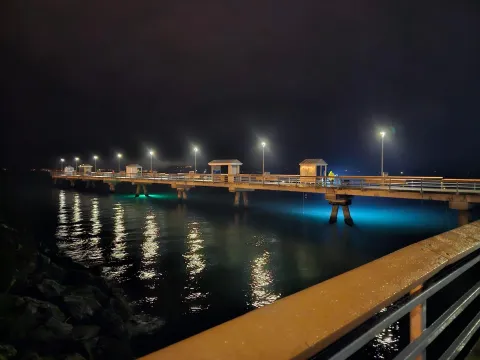 Squid jigging the piers of the Puget Sound By Josh DeBruler (1)