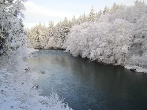 The-River-in-Winter