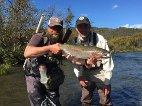 The_Voles_of_Summer_By_Chad_Bryson_3_520x500